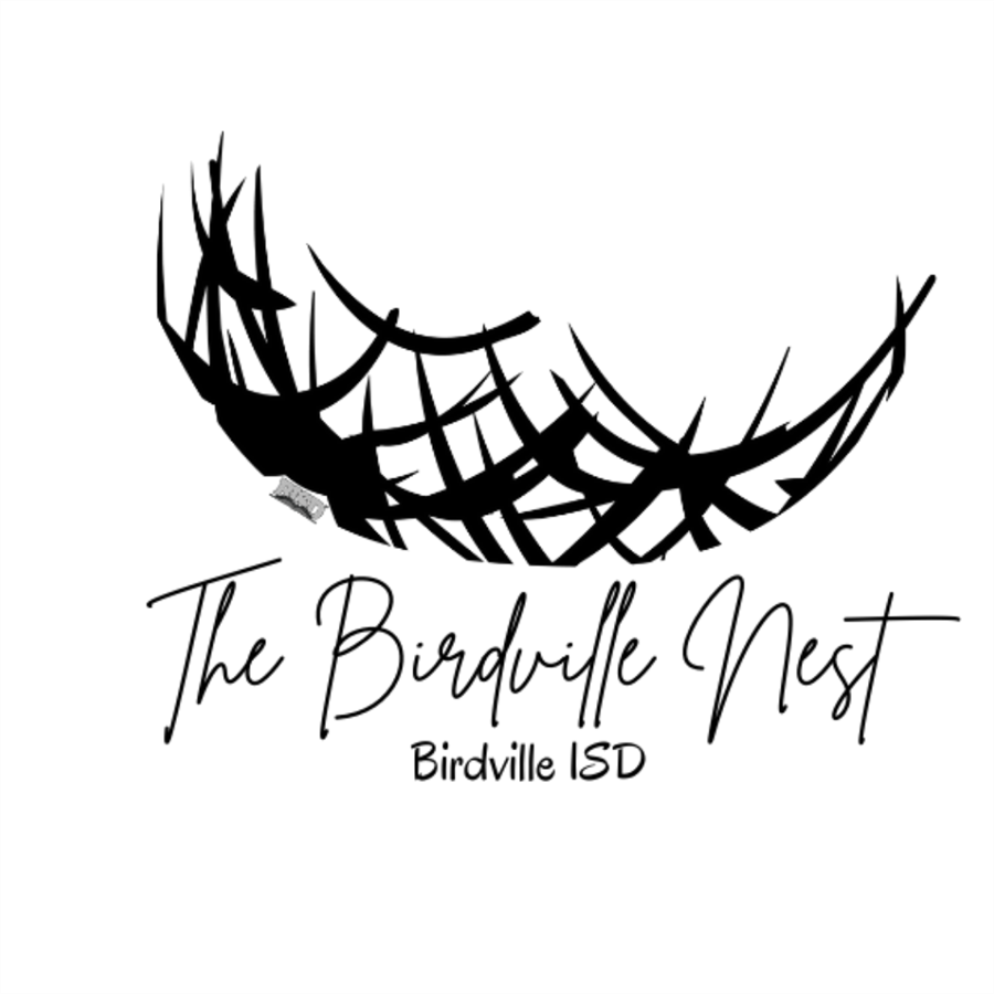 Birdville Nest Logo